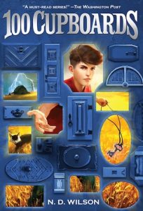 Cover of 100 Cupboards